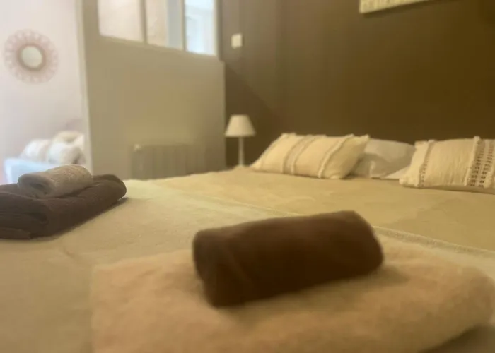 L\'escale Niortaise- Le palmier - Centre-ville, Jardin, Netflix, gare SNCF